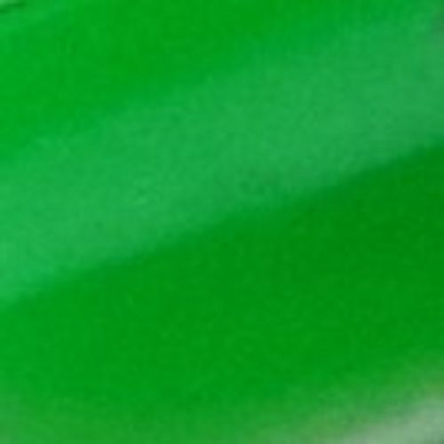NAILFORCE colorpowder marusha 4g (grün)